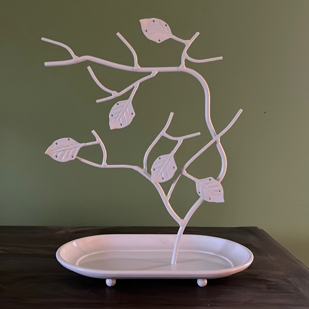 Jewelry organizer